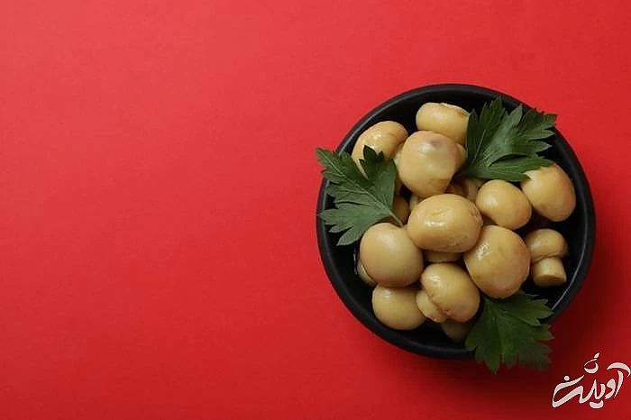 مواد لازم تهیه کنسرو قارچ قارچ